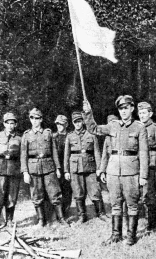 Очередной белый флаг Аргумент был несомненно важен Но главной тут была - фото 98