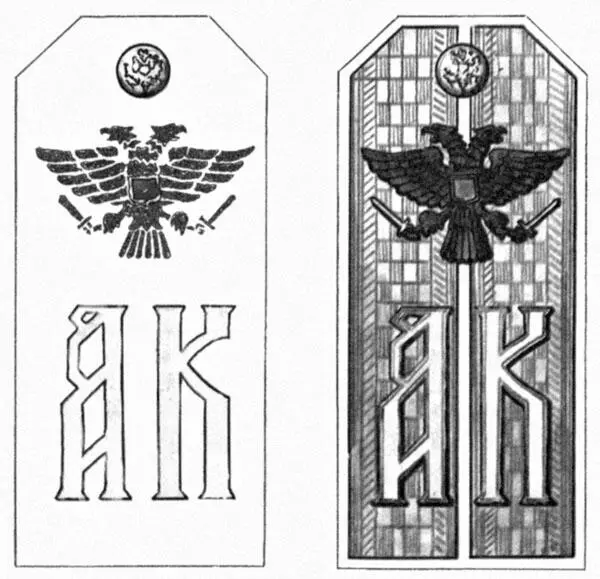 Погоны чинов 25го Екатеринбургского адмирала Колчака полка В конце 1918 - фото 119