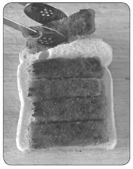 С помощью кухонных щипцов уложите рыбные пальчики на кусок хлеба см рис - фото 182