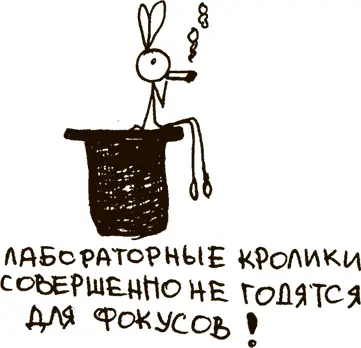 Больше незадачливый поклонник Ханне не докучал а письма и посылки стал носить - фото 2