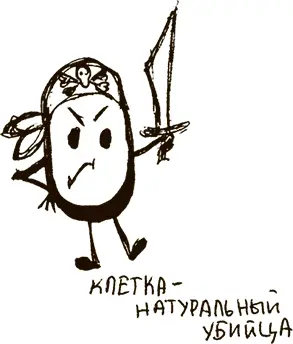 На сигнал выскочившей изза угла клетки натуральной убийцы и не надо - фото 3
