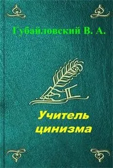 Владимир Губайловский - Учитель цинизма. Точка покоя