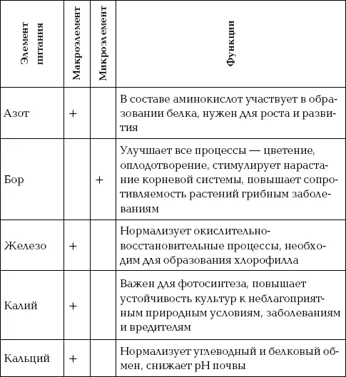 365 советов огороднику Все работы на участке - фото 35