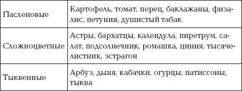 Представители растений семейства Лилейные различные виды лука и чеснок очень - фото 44