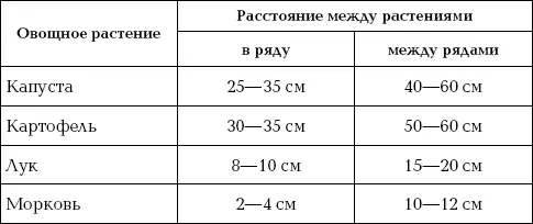 Во времена существования колхозов деление на ряды и междурядья было - фото 61