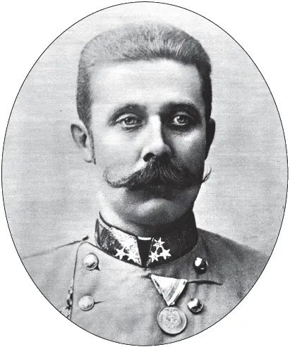 Франц Фердинанд 18631914 эрцгерцог Австрийский Альбрехту не стоило - фото 2