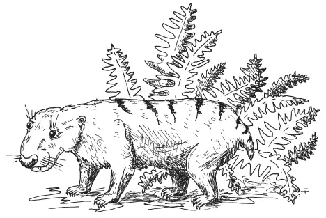Базальный цинодонт Thrinaxodon Южная Африка Антарктика ранний триас 248245 - фото 71