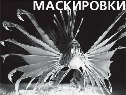Древний мистический Египет страна пирамид фараонов и коралловых рифов - фото 61