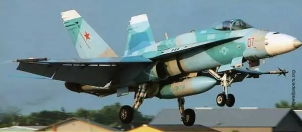 Камуфлированный FA18C используемый в роли агрессора из смешанной - фото 86