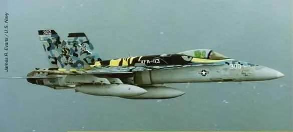FA18С командира эскадрильи VFA113 Авианосец Карл Уинстон CVN 70 - фото 88