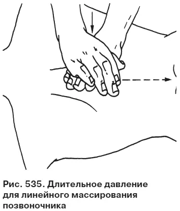 Целительные точки от всех болезней в пошаговых схемах - фото 536