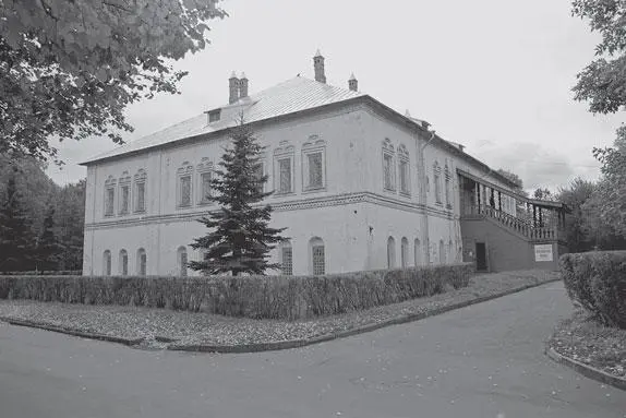 Рис 39 Ярославский художественный музей город Ярославль Фотография 2004 - фото 243