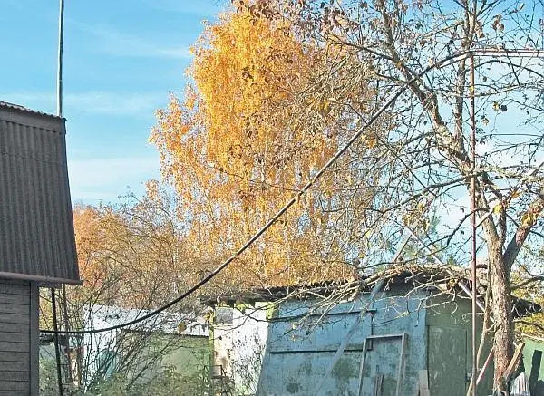 Фото 53911 И снова солидный воздушный пролет на котором явно обозначился - фото 398