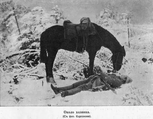Прощание Верховный главнокомандующий несколько иначе оценивал ситуацию - фото 110