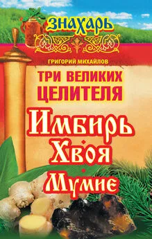 Григорий Михайлов - Три великих целителя: имбирь, хвоя, мумие