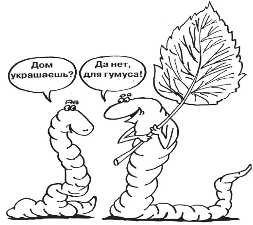 Четвертая причина по которой почву не следует перекапывать заключается в том - фото 5