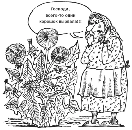 Ну хорошо с многолетними корневищными сорняками мы бороться научились А как - фото 9
