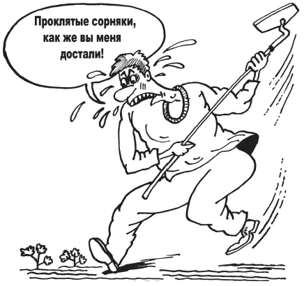 Согласитесь гораздо проще пройтись 23 раза за сезон полольником или маленьким - фото 10
