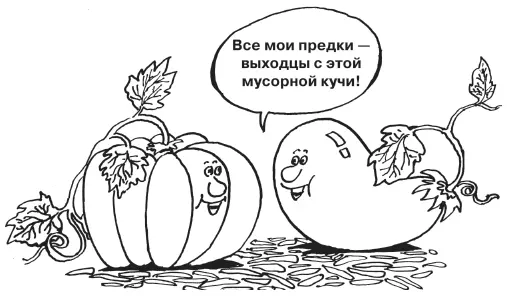 Вообщето следует помнить что дыни арбузы кабачки и тыквы пришли к нам из - фото 15