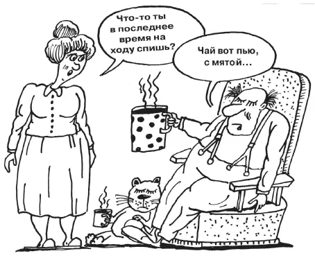 Ценится больше мята черная за большое содержание ментола до 65 но и белая - фото 59