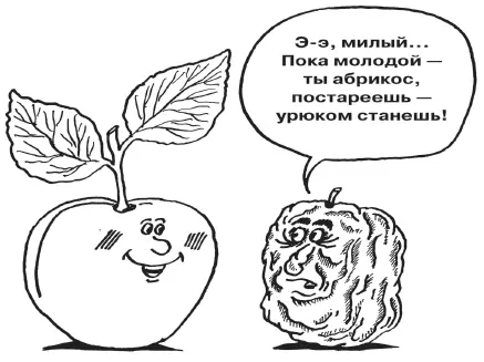 Сажать ли их в ямы на ровной поверхности или на холмах решать вам в - фото 79