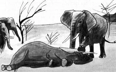 Слоновий альтруизм на равнинах Кении С помощью своих бивней Грейс справа - фото 5