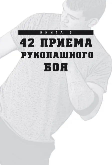 Стойка Каждый вид боевого искусства отличается разными указаниями относительно - фото 6