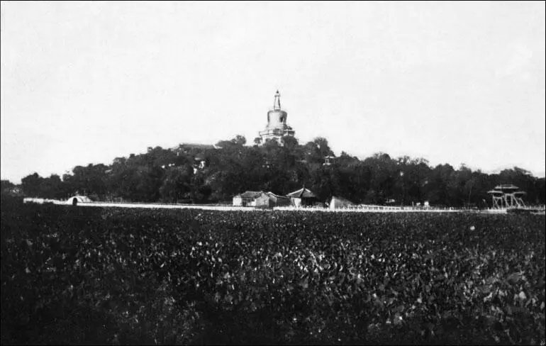 Озеро Лотосов возле дворца богдыхана Башня Лотосов В 1900 году в течение - фото 170