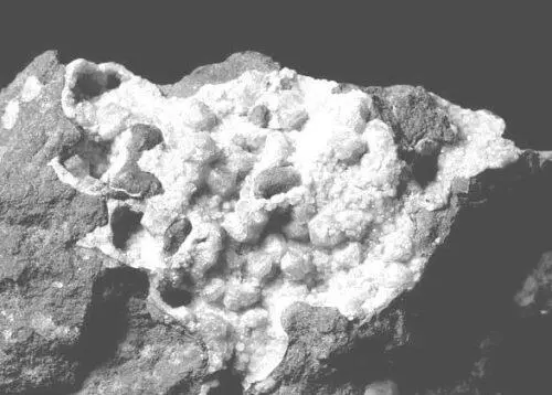 Рис 11 Внешний вид минерала и нанопористая структура цеолита В настоящее - фото 22