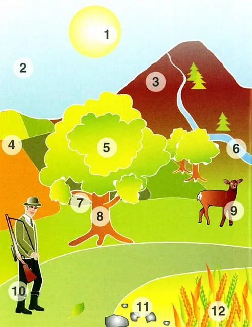 1 sol м солнце 2 cielo м небо 3 montaña ж гора 4 саmро м поле 5 - фото 24