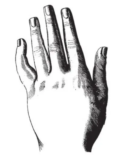 Рука большой величины Если рука большой величины и при этом вытянутая гибкая - фото 4