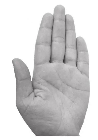 Лопатообразная рука Человек с такой рукой особенно с сильно развитым большим - фото 11