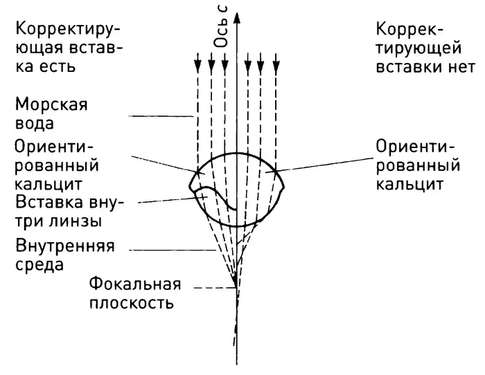 Рисунок сделанный Юаном Кларксоном и Рикардо Левисетти показывающий как - фото 20