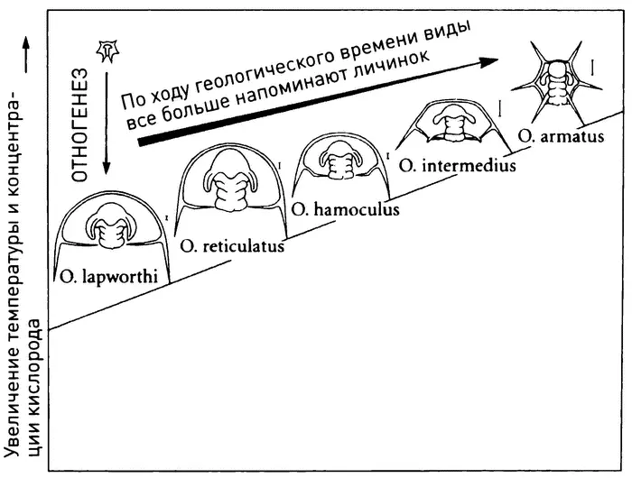 Сдвиг во времени Диаграмма Кена Макнамары показывающая последовательность - фото 33