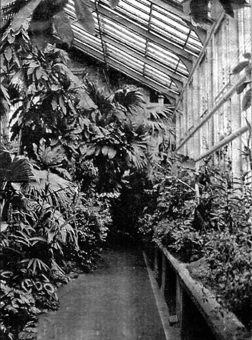 Ботанический сад Современная фотография Ботанический сад на проспекте Мира - фото 194