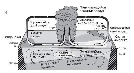 Рис 6 Схема явления ЭльНиньо Тропическая часть Тихого океана при - фото 23