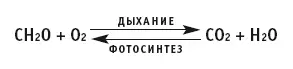 настоящее время доминирующую роль в поддержании определенной концентрации - фото 52