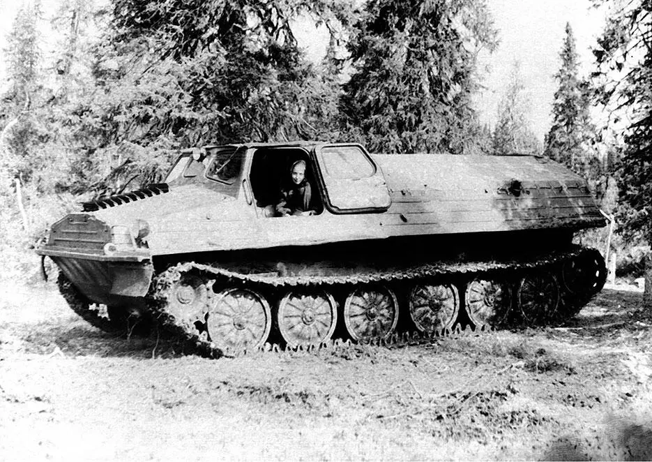 Непроходимая тайга на Кольском полуострове 1974 г Редкий солнечный день это - фото 22