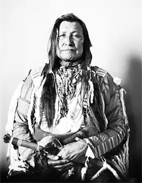 Горный Вождь Горный Вождь Mountain Chief Черноногий сиксика Родился пр в - фото 53