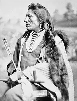 Гусь сихасапасиу Гусь Мага Goose Maga Сиу сихасапа Родился в 1834 - фото 55