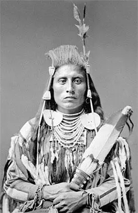 Магическая Ворона 1880 г Магическая Ворона Пилатчивакспаш Medicine Crow - фото 135