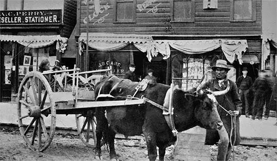 Редриверская повозка Редриверская повозка Red River cart Двухколесная - фото 195