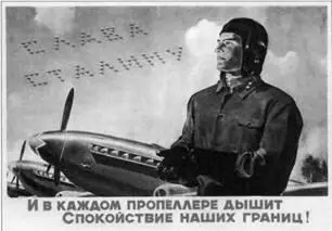 Авиационный праздник на Тушинском аэродроме закончен Кстати это было не - фото 8