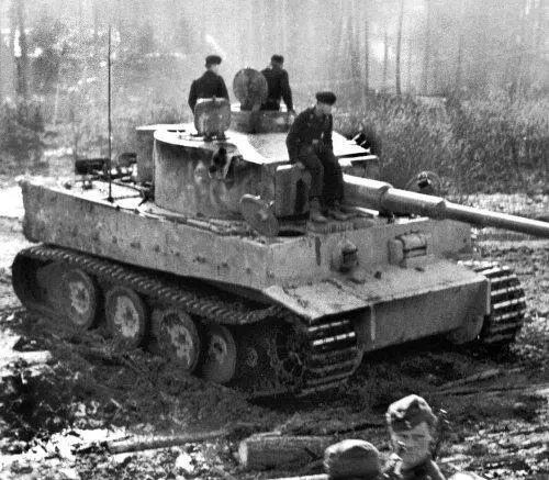Один из тигров 502го тяжелого танкового батальона утюжит Синявинские - фото 183