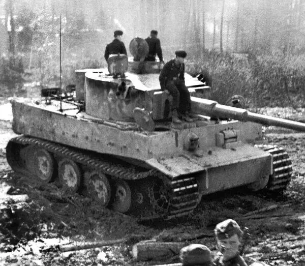 Один из тигров 502го тяжелого танкового батальона утюжит Синявинские - фото 31
