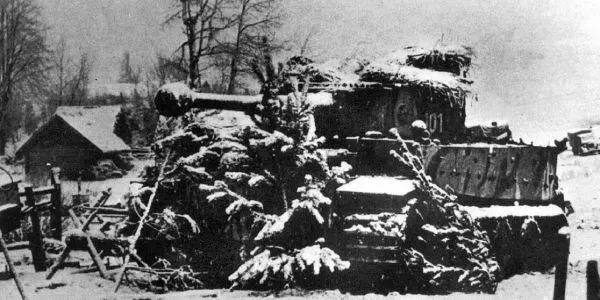 Тигр в засаде 502й тяжелый танковый батальон район Невеля февраль 1944 - фото 44