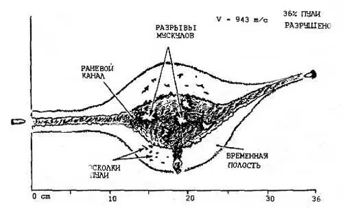 Рис 4 Раневой профиль оставленный пулей М193 боеприпаса 556х45 Изначально - фото 5
