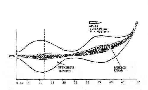 Рис 6 Раневой профиль оставленный пулей 7Н6 боеприпаса 545х39 Специалисты - фото 7