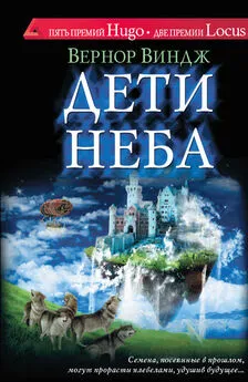 Вернор Виндж - Дети неба