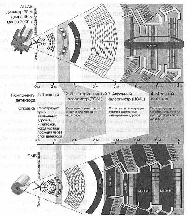 РИС 32 Детекторы ATLAS и CMS в разрезе Обратите внимание на то что общие - фото 32